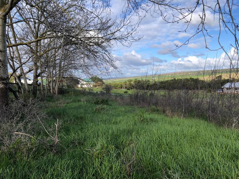 0 Bedroom Property for Sale in Baardskeerdersbos Western Cape